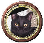 headshot of grimalkin framed
